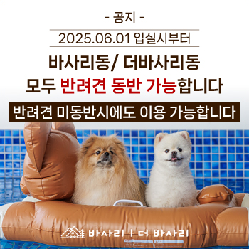 애견